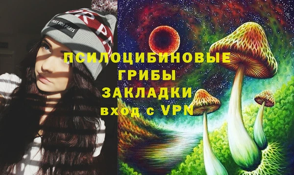 бошки Армянск