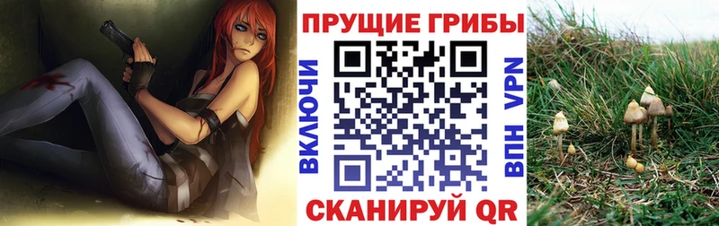 Псилоцибиновые грибы GOLDEN TEACHER  Урюпинск 