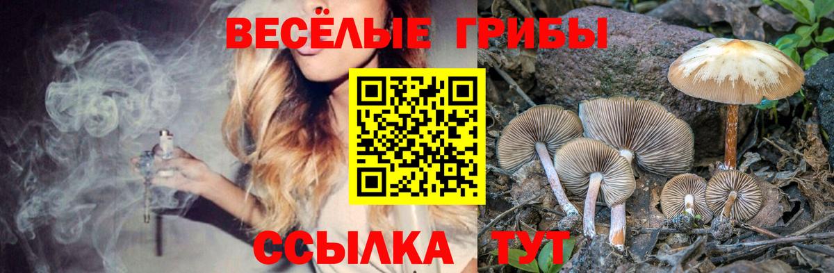 Галлюциногенные грибы GOLDEN TEACHER Урюпинск