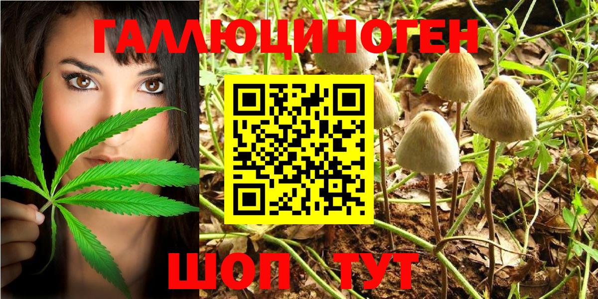 Галлюциногенные грибы Magic Shrooms  Вход с VPN  Урюпинск 